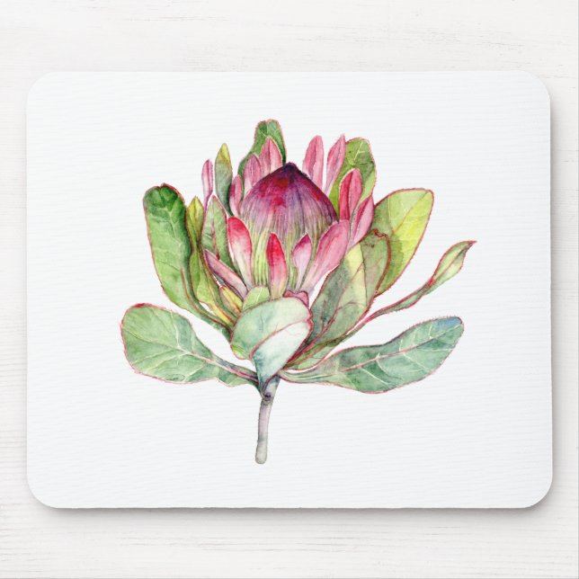 Protea-Blume Mousepad (Vorne)