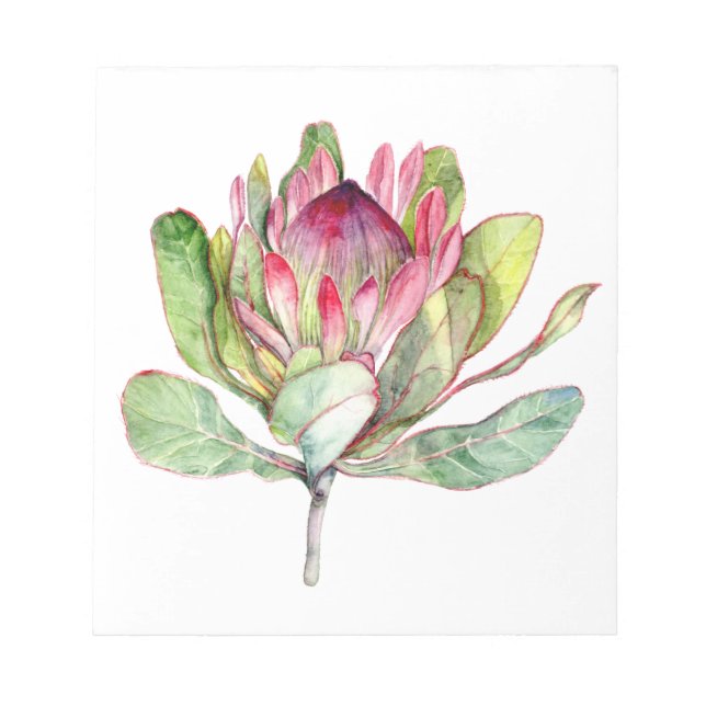 Protea-Blume Notizblock (Vorderseite)