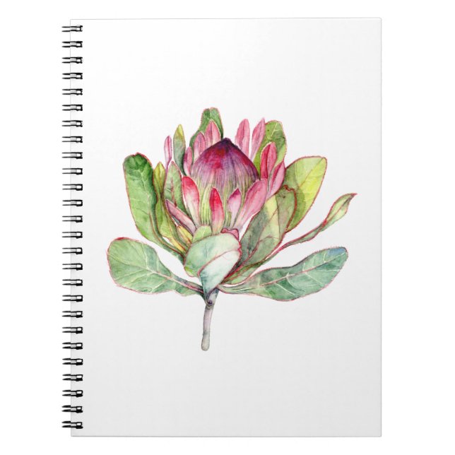 Protea-Blume Notizblock (Vorderseite)