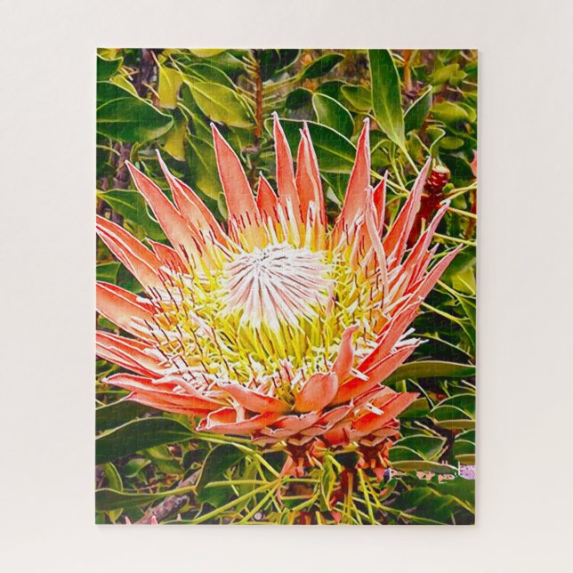 Protea-Blume-Puzzle (Vertikal)
