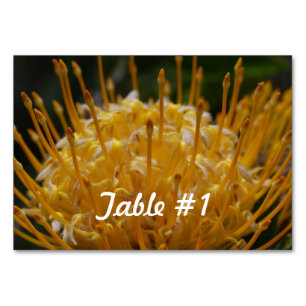 Protea-Blume Tischnummer