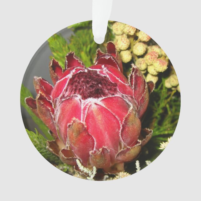 Protea-Blumenstrauß Ornament (Vorderseite)