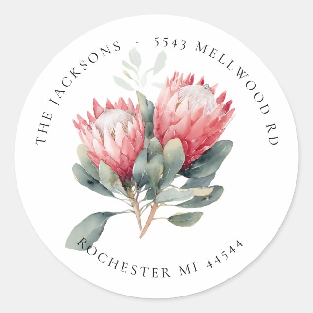 Protea Blush Blume Rücksendeadresse Runder Aufkleber (Vorderseite)