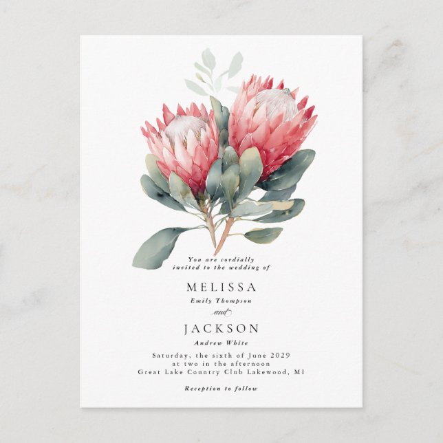 Protea Blush Wasserfarbe Blume Hochzeit Postkarte (Vorderseite)