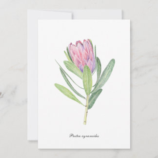 Protea cynaroides einladung