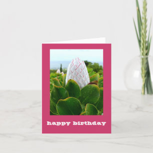"PROTEA: HAPPY BIRTHDAY"-KARTE KARTE