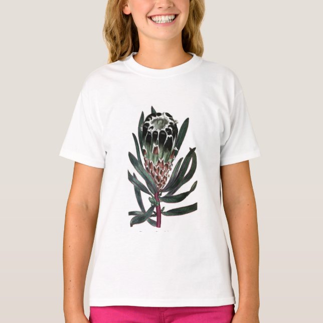 Protea Lepidocarpon T-Shirt (Vorderseite)