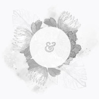 Protea und Pflanze Wedding speichern das Datum der