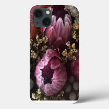 Protea Watercolor iPhone Cover II
