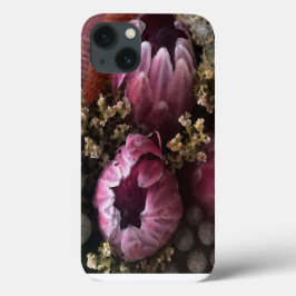 Protea Watercolor iPhone Cover II