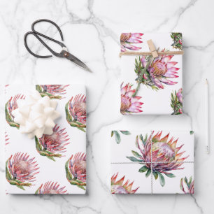 Protea-Zuckerbusch-Blume südafrikanische Pflanze Geschenkpapier Set