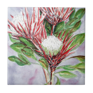 Proteas Fliese