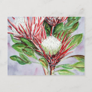 Proteas Postkarte