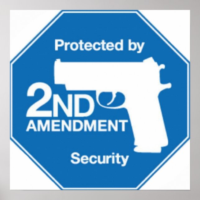 Protected by 2nd AMENDMENT Security Poster (Vorne)