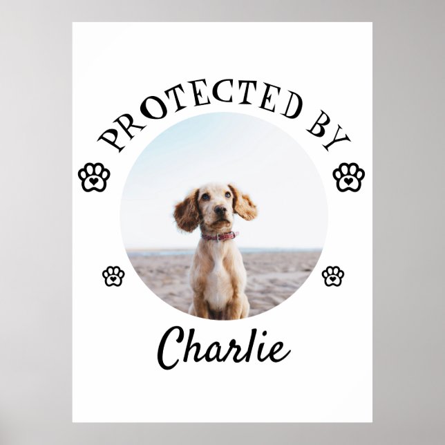 Protected By Dog Photo Paw Print Design Poster (Vorne)