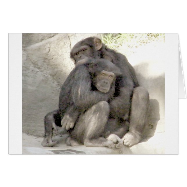 Protection de l'amour_ (Devant horizontal)