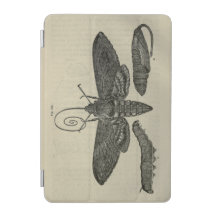Métamorphose vintage Moth Imprimer