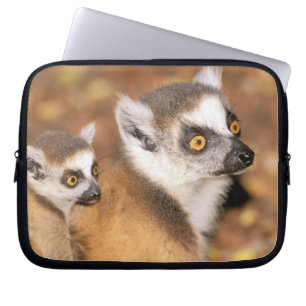 Protection Pour Ordinateur Portable Afrique, Madagascar, Berenty Private Reserve.