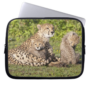 Protection Pour Ordinateur Portable Afrique. Tanzanie. Guépierre mère et petits 2