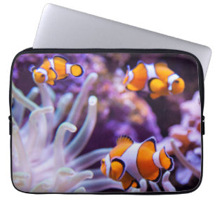 Protection Pour Ordinateur Portable Amphiprion Ocellaris d'Ocellaris Clownfish