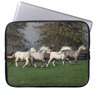 Protection Pour Ordinateur Portable Arabes courant dans le domaine