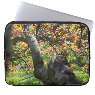 Protection Pour Ordinateur Portable Arbre dans la photographie d'automne