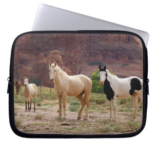Protection Pour Ordinateur Portable Arizona, réserve indienne Navajo, Chinle,