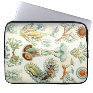 Protection Pour Ordinateur Portable Bryozoaires de Haeckel