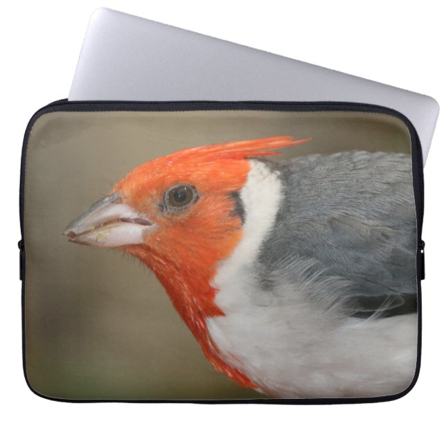 Protection Pour Ordinateur Portable Cardinal crêté rouge (Devant)