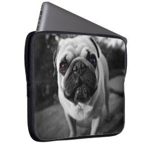 Protection Pour Ordinateur Portable Carlin beau