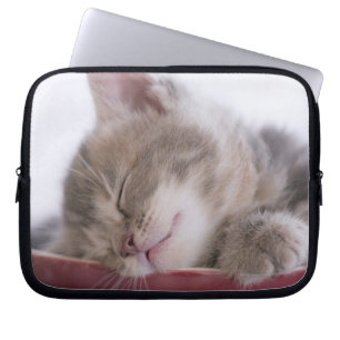 Protection Pour Ordinateur Portable Chaton dormant dans la cuvette 2