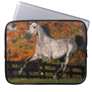 Protection Pour Ordinateur Portable Cheval arabe : Automne 1