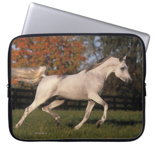 Protection Pour Ordinateur Portable Cheval arabe : Automne 2