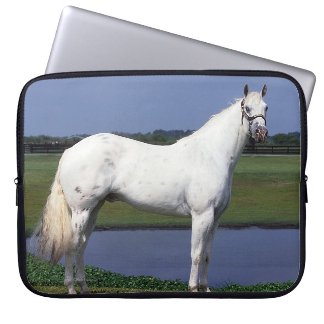 Protection Pour Ordinateur Portable Cheval d'Appaloosa (Devant)