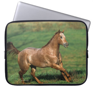 Protection Pour Ordinateur Portable Cheval d'Appaloosa fonctionnant dans le domaine