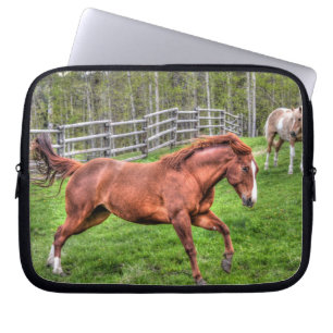 Protection Pour Ordinateur Portable Cheval de Dun Rouge Spiritué Courir sur Ranch