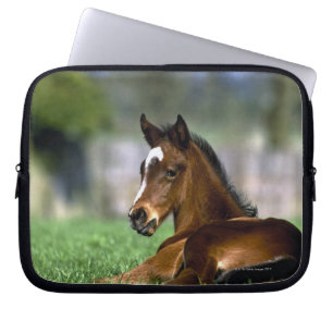 Protection Pour Ordinateur Portable Cheval de pur sang Irlande