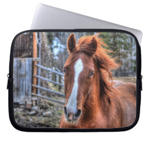 Protection Pour Ordinateur Portable Cheval et grange Red Dun 2 - Portrait photo équin