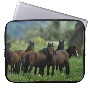 Protection Pour Ordinateur Portable Chevaux sauvages 3 de mustang