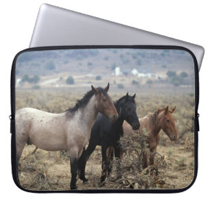 Protection Pour Ordinateur Portable Chevaux sauvages 5 de mustang