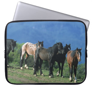 Protection Pour Ordinateur Portable Chevaux sauvages de mustang dans les montagnes