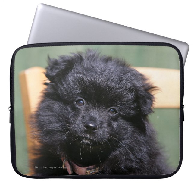 Protection Pour Ordinateur Portable Chiot noir de Pomeranian (Devant)