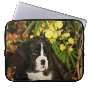 Protection Pour Ordinateur Portable Chiots de boxeur