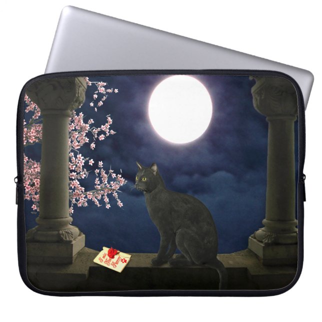 Protection Pour Ordinateur Portable Clair de lune Kitty (Devant)