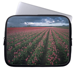 Protection Pour Ordinateur Portable Des tulipes roses et rouges brillent sous un ciel