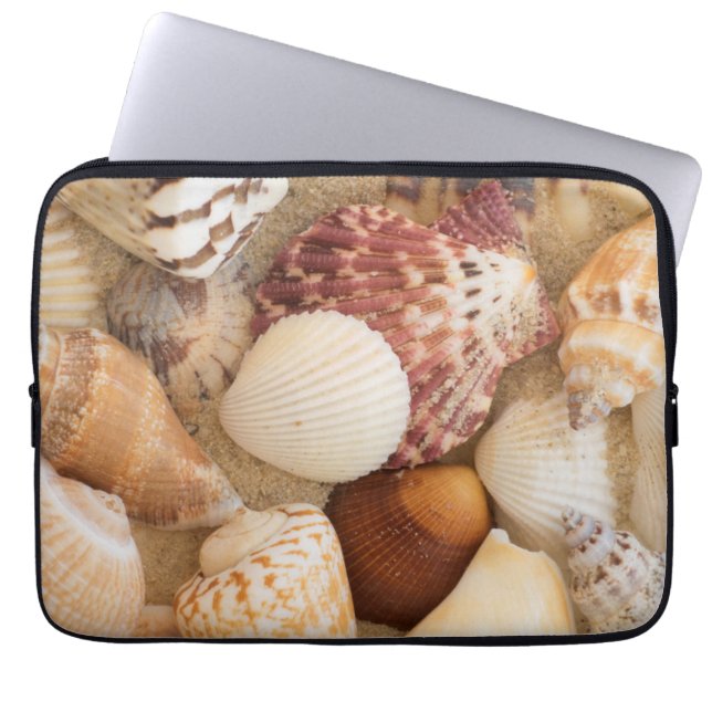 Protection Pour Ordinateur Portable Disposition de coquillage (Devant)