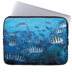 Protection Pour Ordinateur Portable École de poisson rayé Manches pour ordinateur port