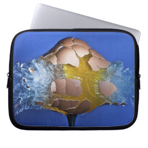Protection Pour Ordinateur Portable Eggceptional