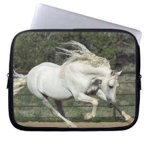 Protection Pour Ordinateur Portable Étalon andalou en course, PR