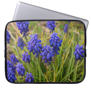 Protection Pour Ordinateur Portable Famille de raisins Hyacinths